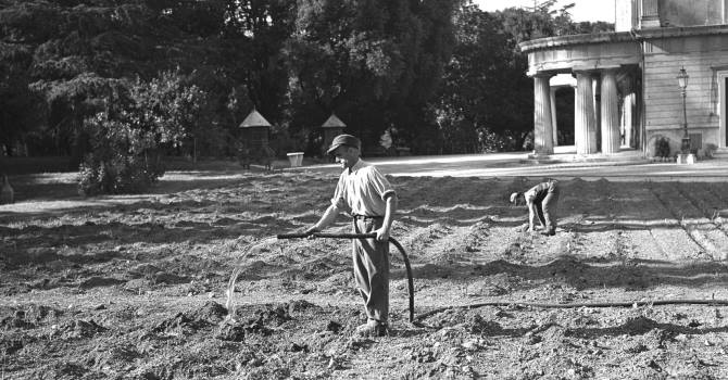 Orti di guerra davanti al Casino Nobile