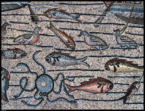 6 Dettaglio dei pesci nel mosaico dell’aula teodoriana sud della Basilica di Aquileia - ElioCiol©